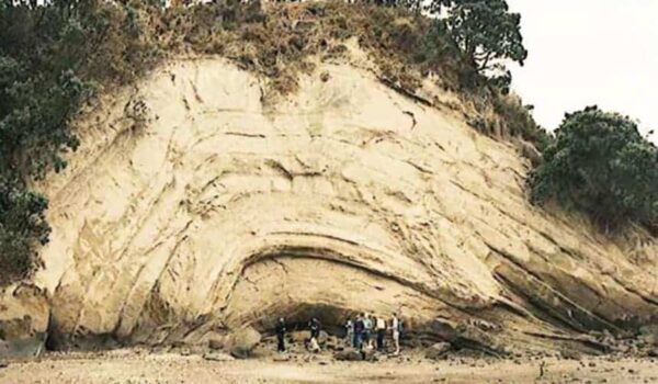 Formation géologique à Auckland en Nouvelle Zélande