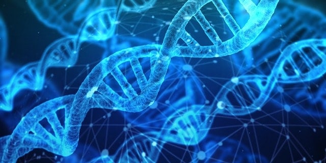 La Génétique, l’ADN et l’Origine de la Vie – Crée ou Evolué ?