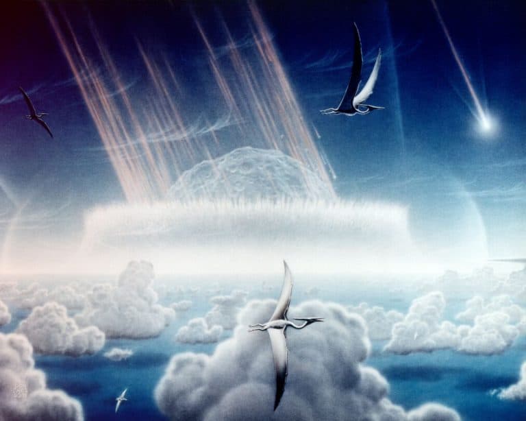 Le cratère de Chicxulub – Les Dinosaures ont-ils été détruits par une météorite ou un astéroïde?