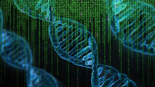 La Duplication de Gènes produit-elle l’évolution vers le haut?