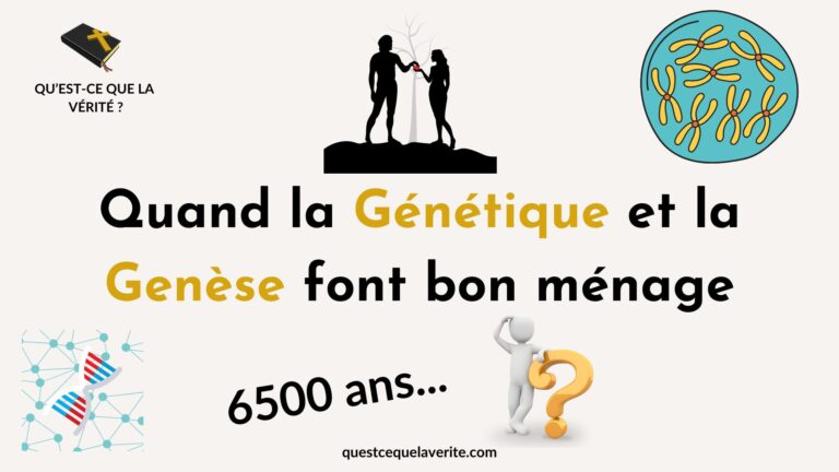 Quand les Horloges Moléculaires confirment la Genèse!