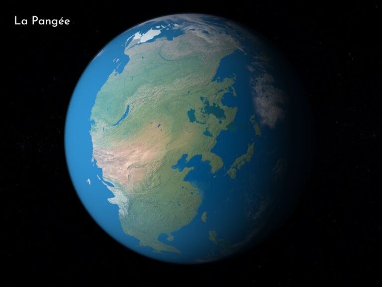 Comment les animaux ont pu voyager vers l’Arche de Noé depuis les confins du monde?